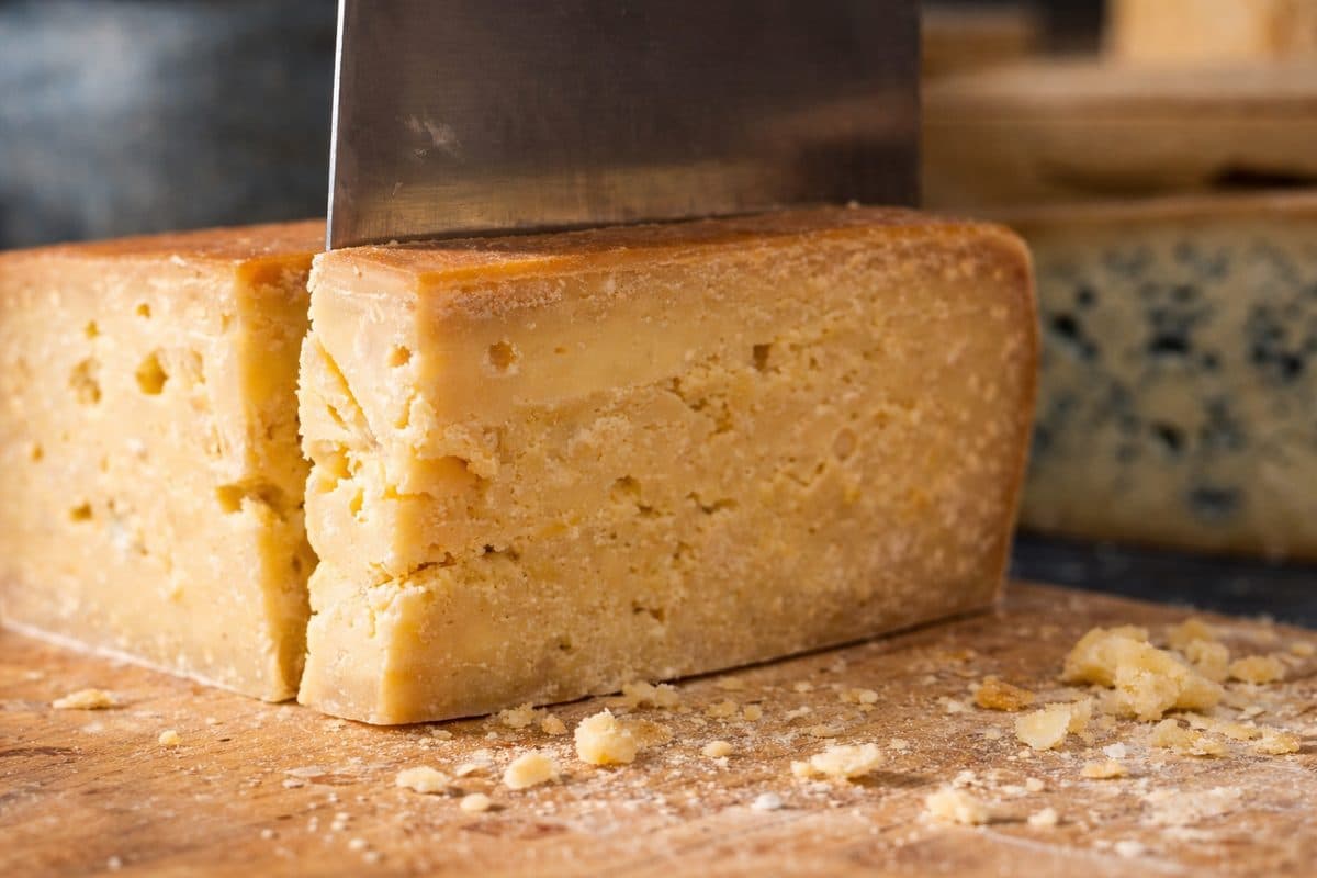 Formaggi di malga — souvenir autentico di Trento